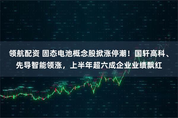 领航配资 固态电池概念股掀涨停潮！国轩高科、先导智能领涨，上半年超六成企业业绩飘红